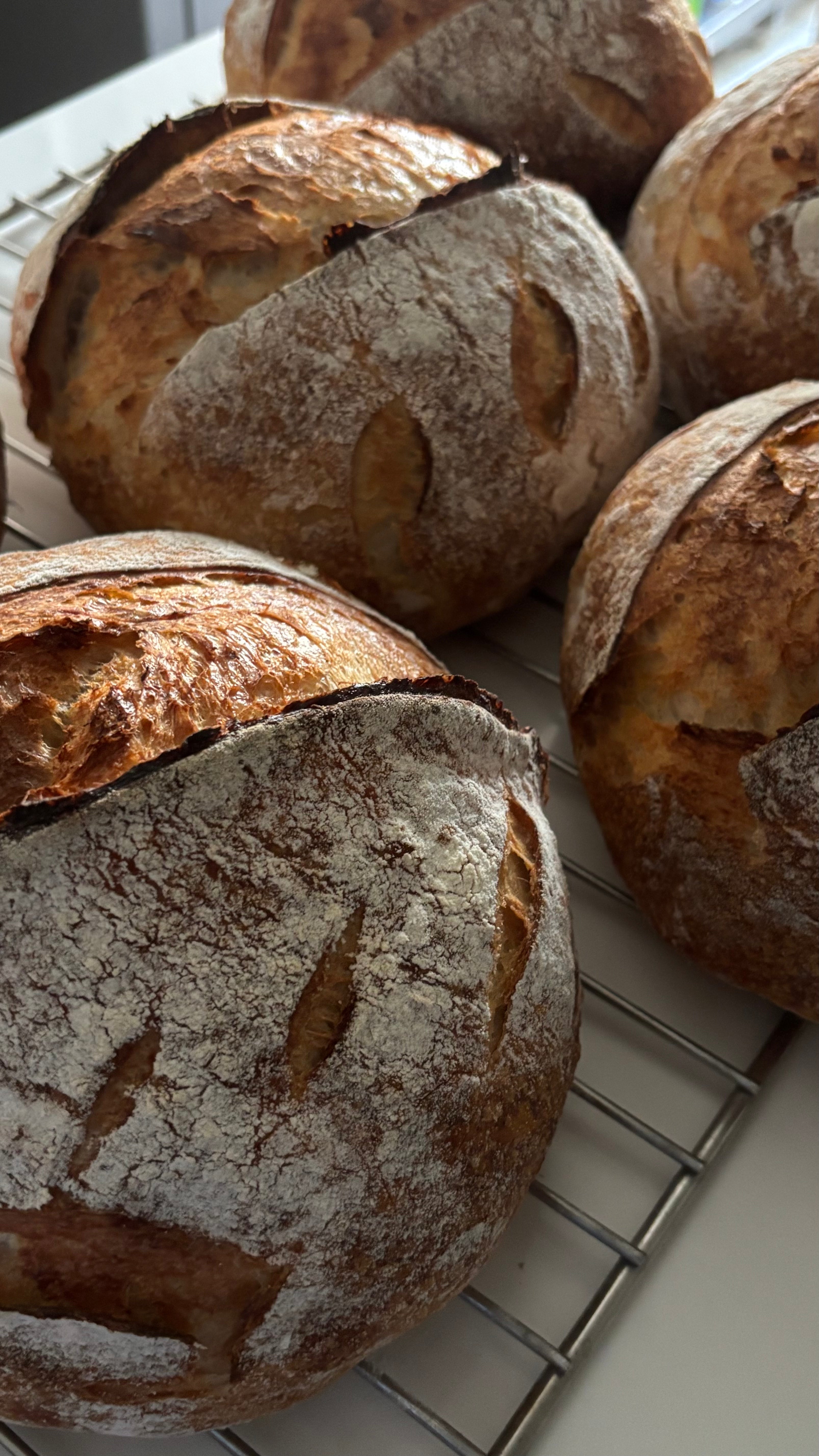 Breads