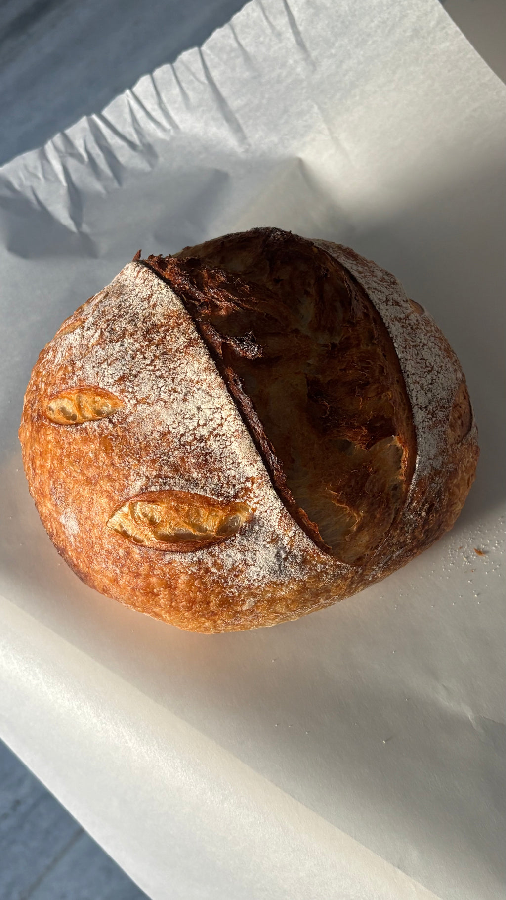 Sourdough Whole Loaf