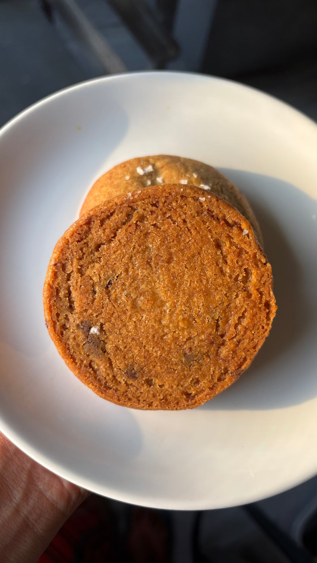 Sea Salt Sourdough Chocolate Chip Cookie