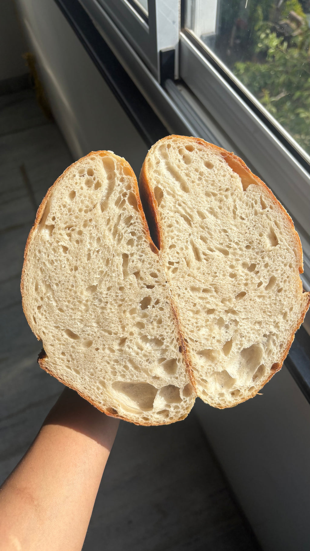 Sourdough Whole Loaf