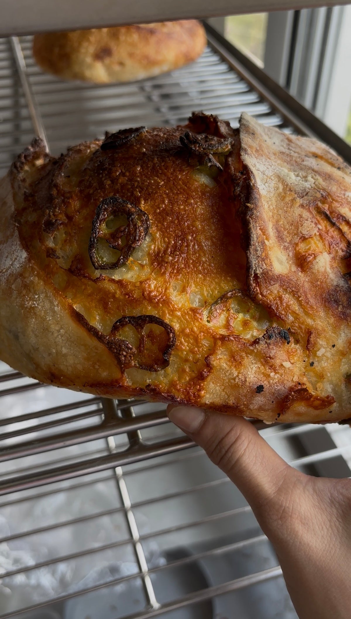 Jalapeño and Cheddar Sourdough Loaf