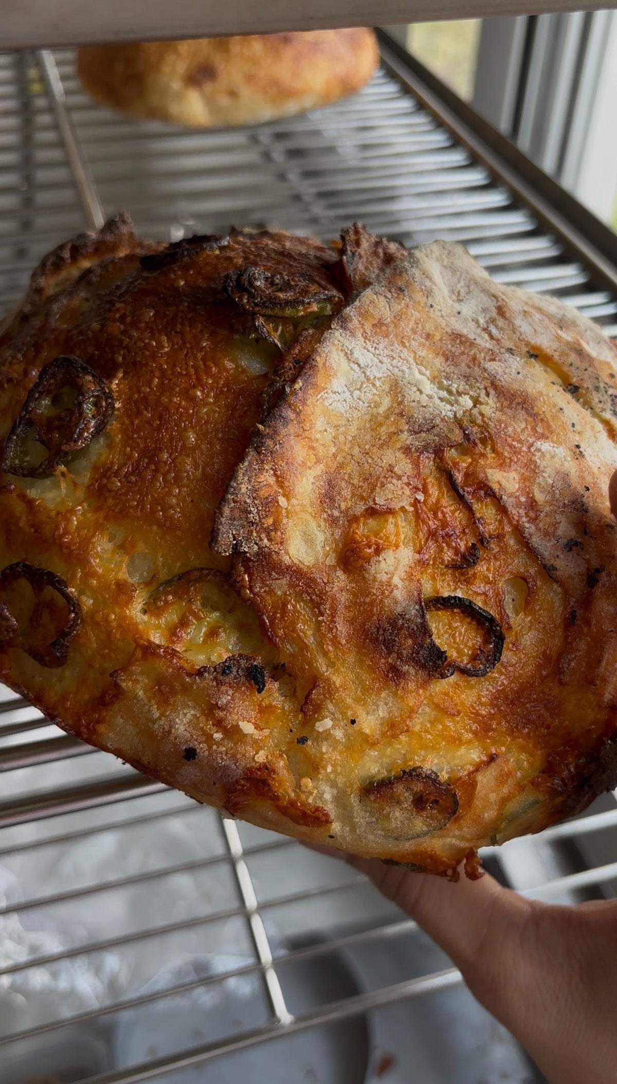 Jalapeño and Cheddar Sourdough Loaf