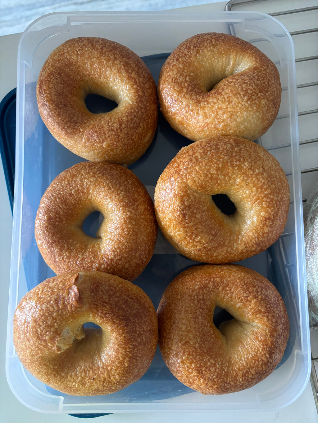 NY Style Bagels (Pack of 6)