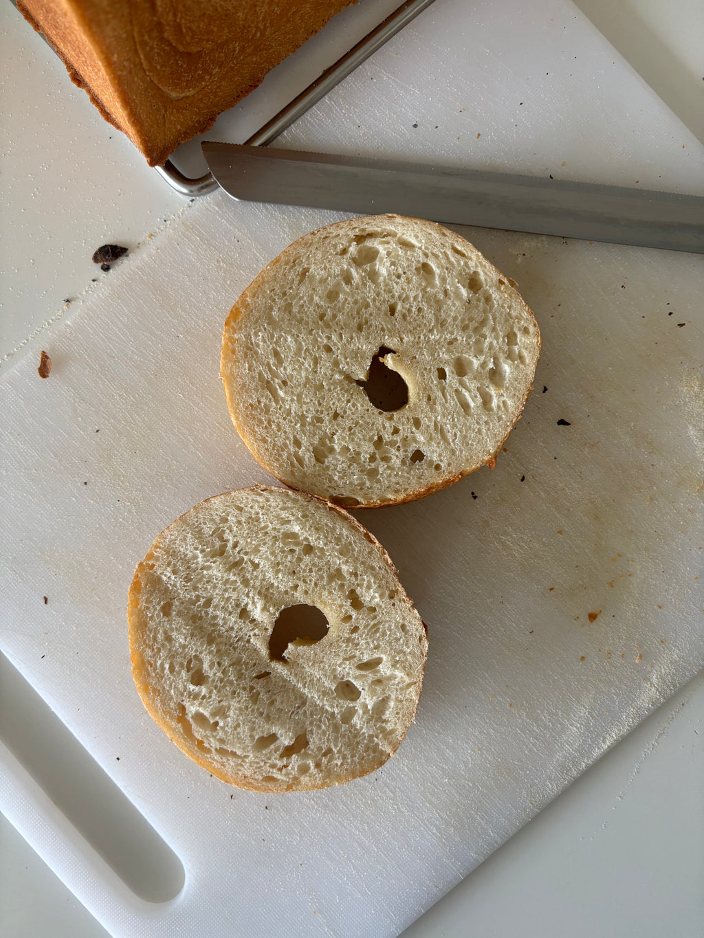 NY Style Bagels (Pack of 6)